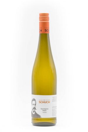 2019er Sauvignon blanc – trocken –